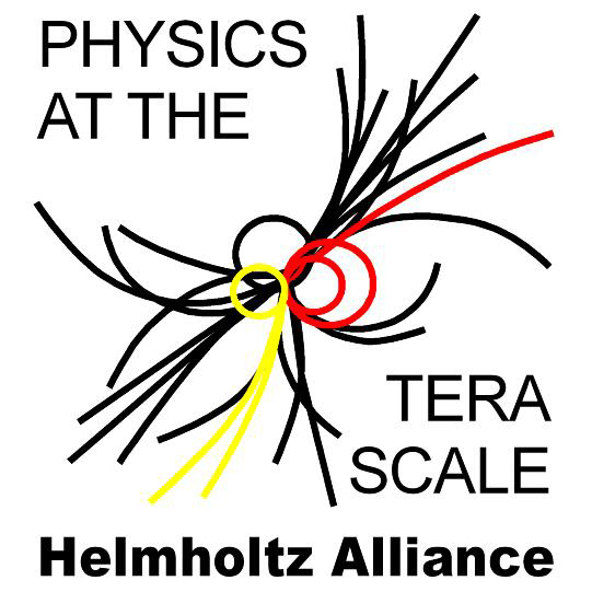 Helmholtz Alliance Logo